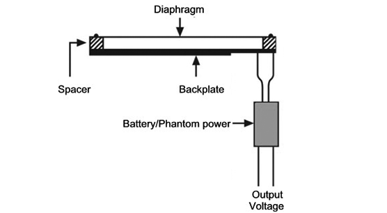 Cross-Section of Capacitor Microphone