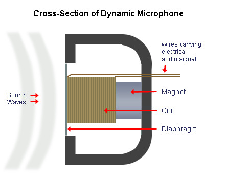 Cross-Section of Dynamic Microphone
